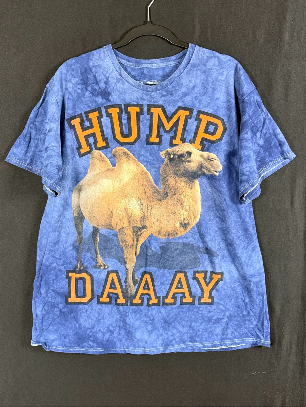 The Mountain 90’s Blue tie dye Camel 'HUMP DAAAY' Graphic Tee XL